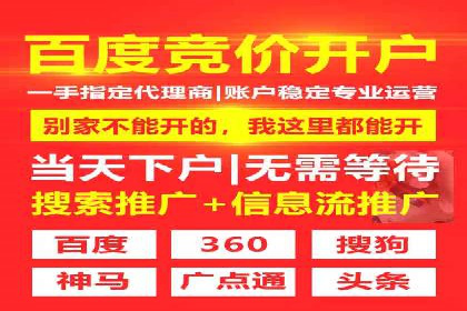 案例研究：关键词推广费用与ROI的关系